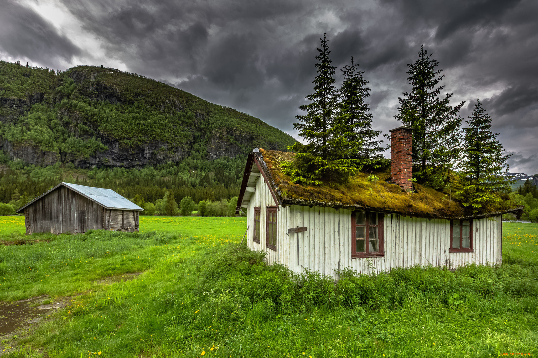 , ,  ,  , , , , , house, norway, , 